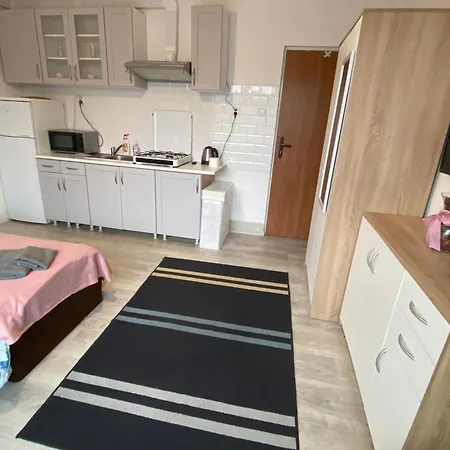 Kornlex Goscinne Z Aneksem Kuchennym Séjour chez l'habitant Varsovie